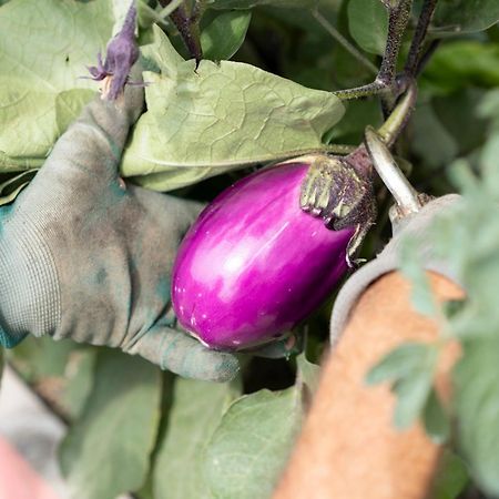 サント・ステファノ・ベルボ Vigne Di Fagnano 1709 Eco Relaisゲストハウス エクステリア 写真